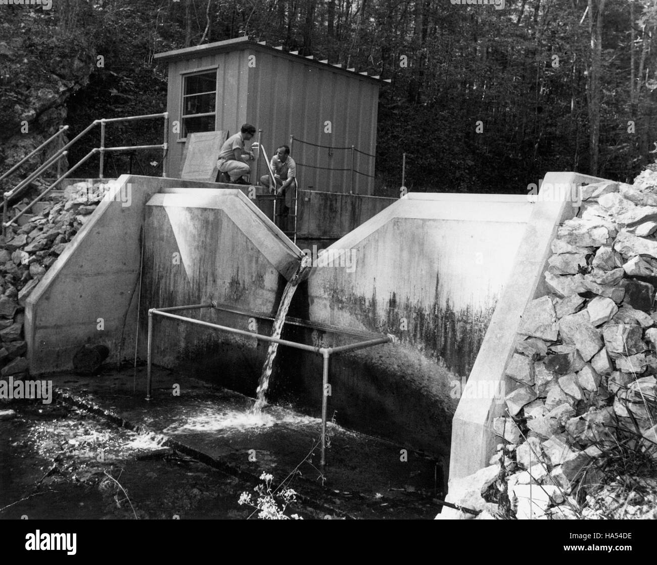 This image represents the intersection of nature, science, and politics ...
