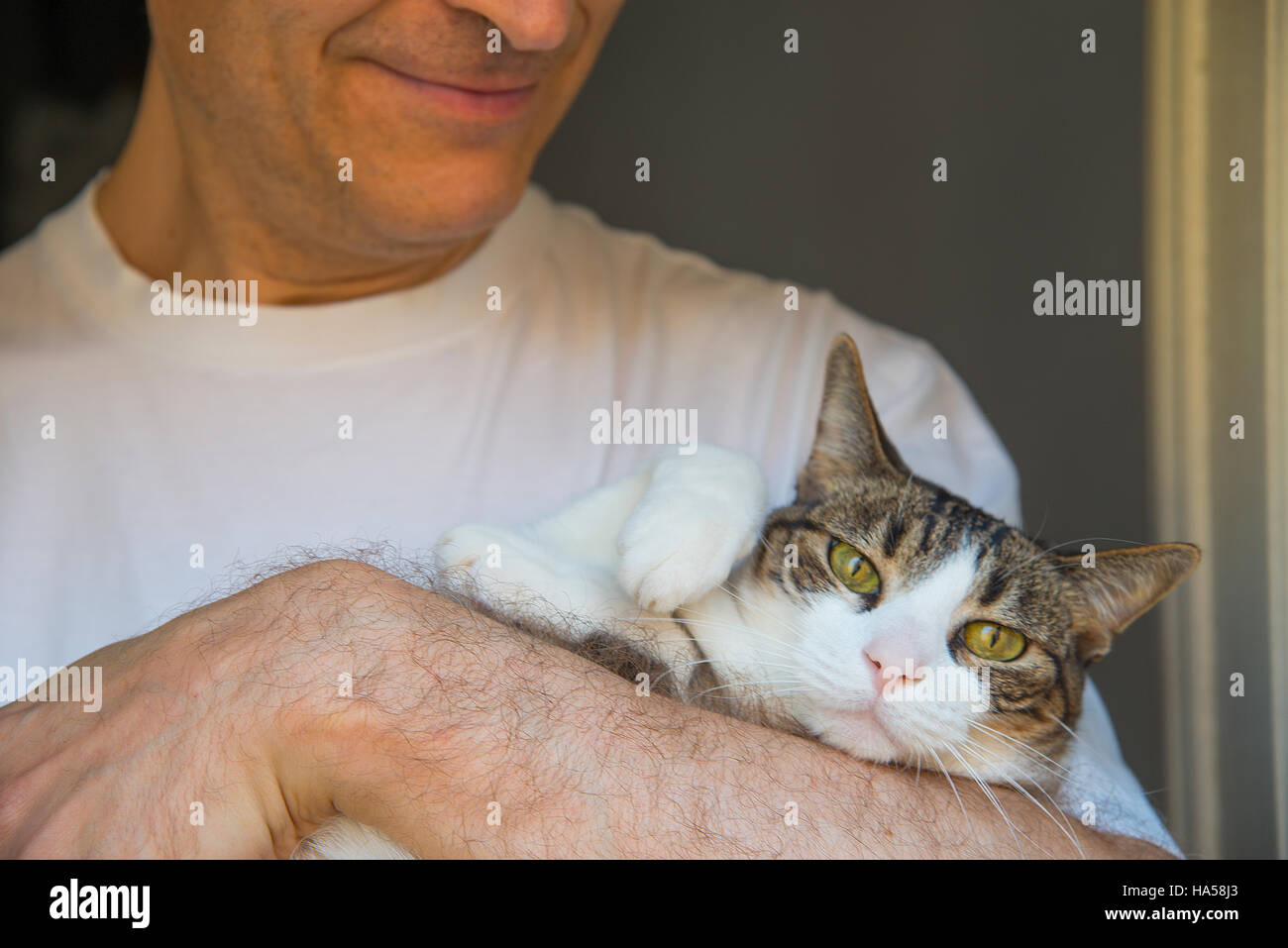 Man holding a cat in his arms. Close view. Stock Photo