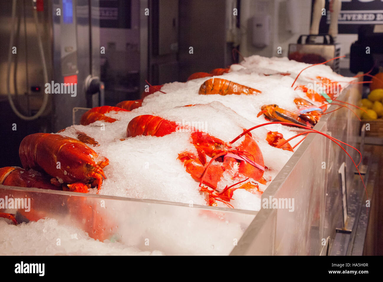 Cooked whole lobsters at The Lobster Place seafood Market,, Chelsea