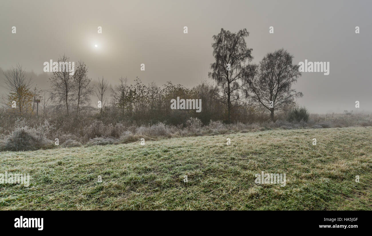 A view of Paddington Meadows in Warrington on a misty , frosty Saturday morning in November. Stock Photo