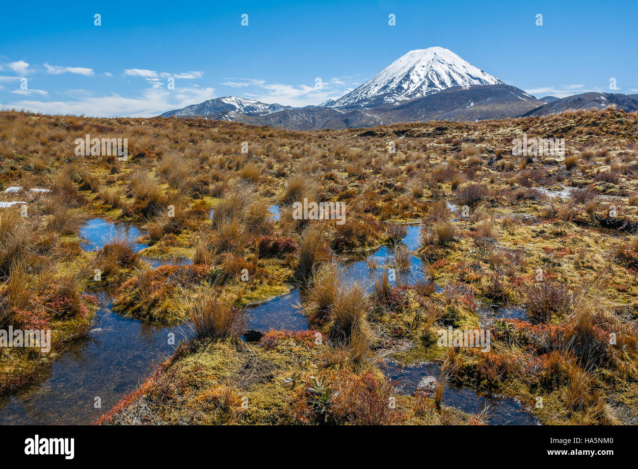 Mount Ruapehu Landscape Tongariro National Park, New Zealand Stock Photo