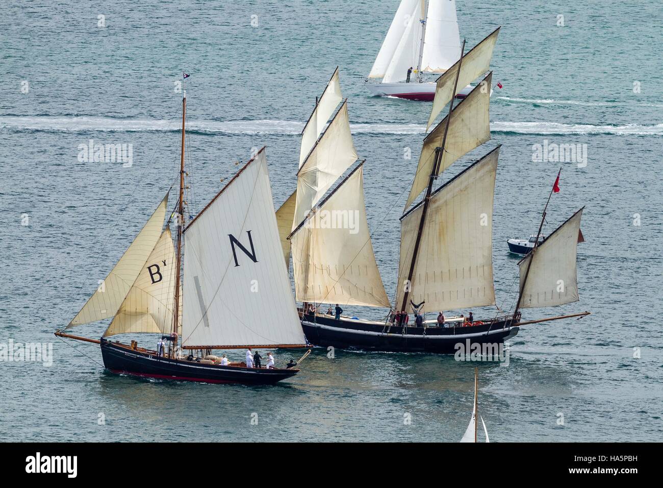 Mascot and Greyhound return from taking part in 2015 Falmouth Classics Parade of Sail;  photographed from the public road. Stock Photo