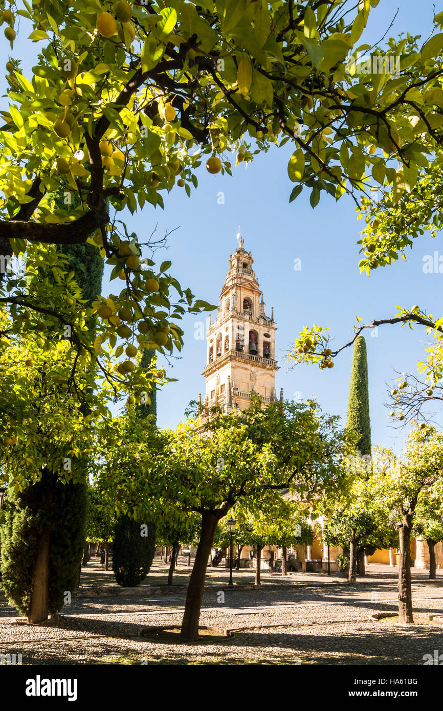 Bell Tower of the Mezquita Cathedral, Cordoba, Spain Stock Photo