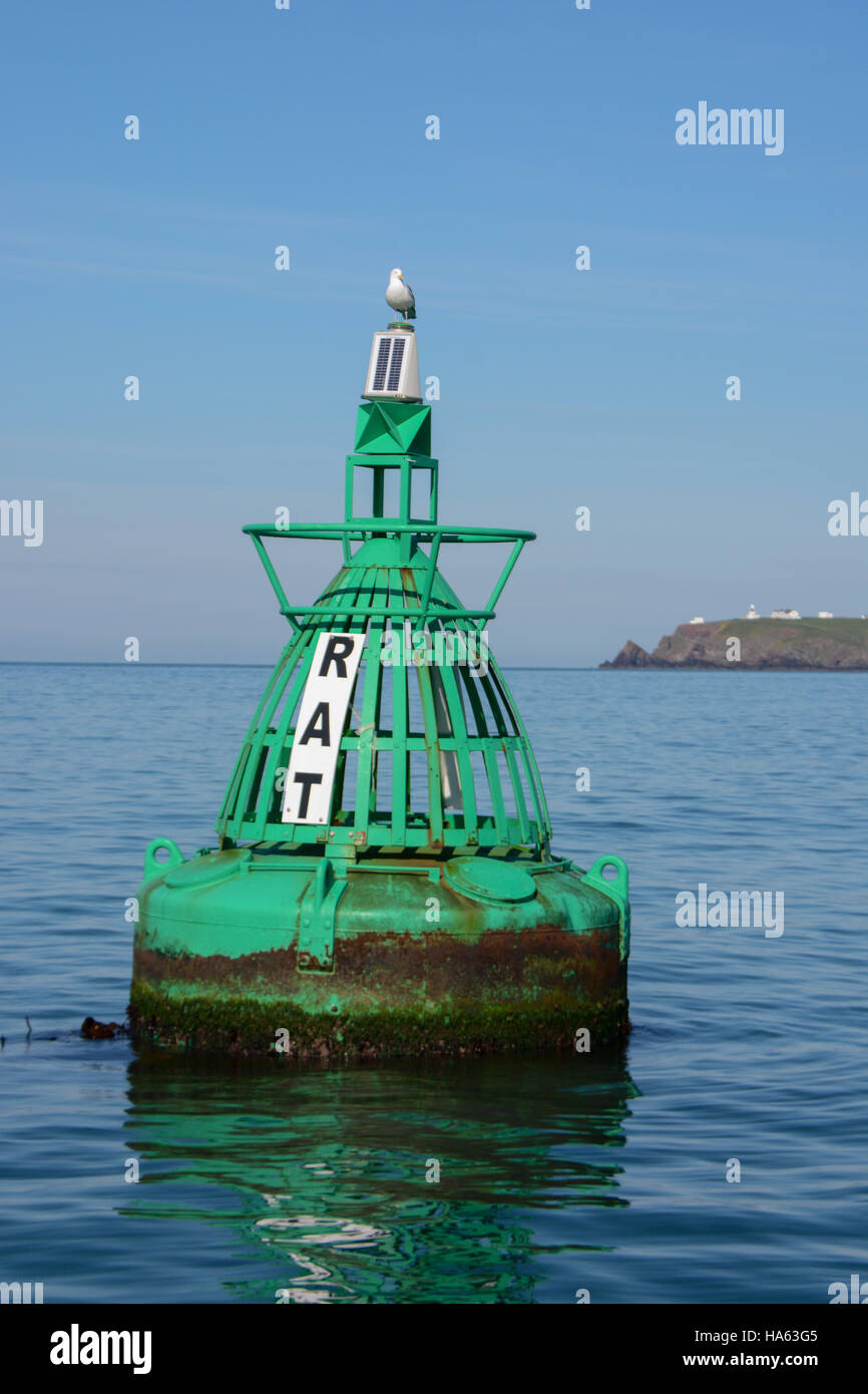Rat Island starboard lateral navigation buoy with a seagull on the top and St Ann's Head in the distance on a calm day Stock Photo