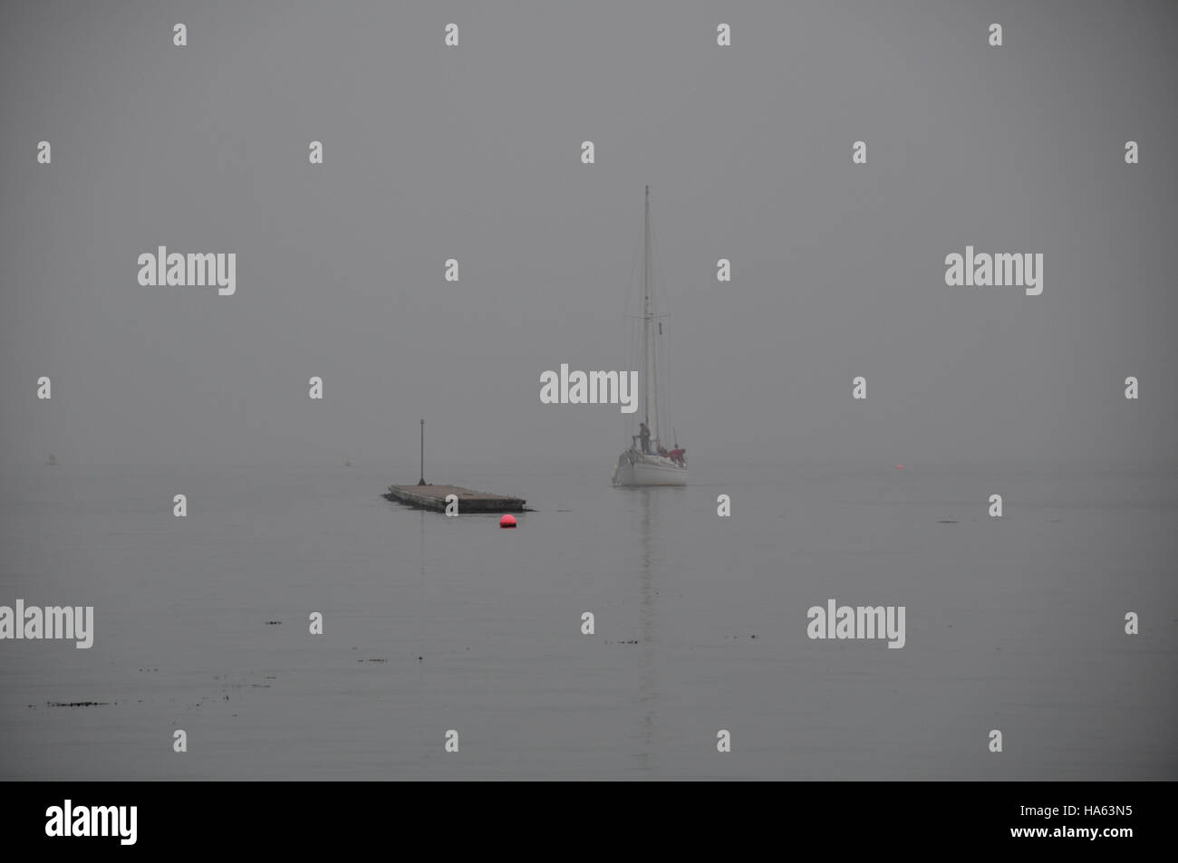 A yacht approaches Dale Outer Pontoon after a passage in heavy fog Stock Photo