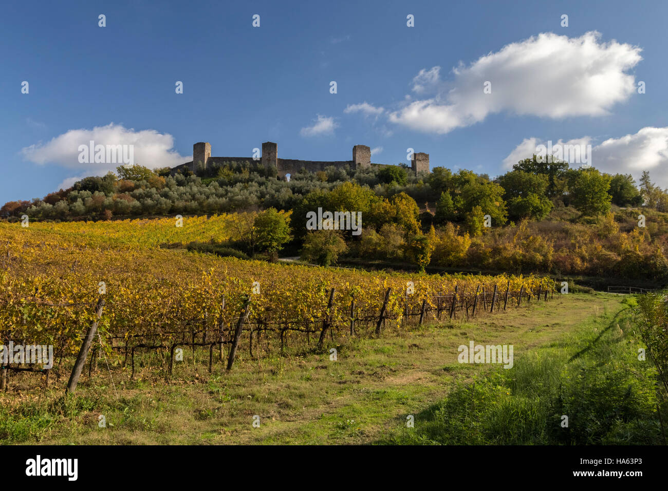 Autumnal fields near the medieval walls of Monteriggioni, Tuscany, Italy. Stock Photo