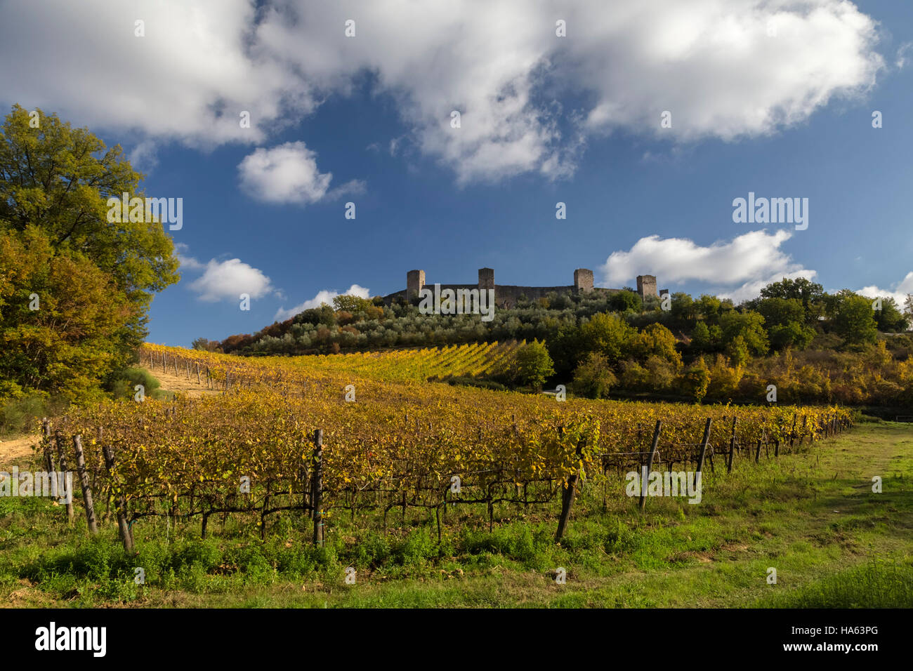 Autumnal fields near the medieval walls of Monteriggioni, Tuscany, Italy. Stock Photo