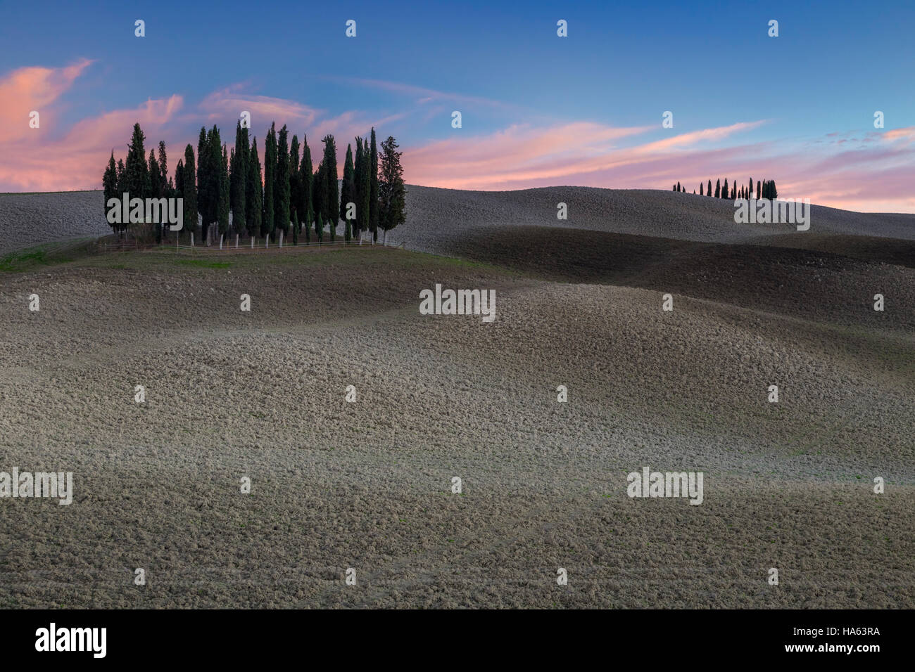 Sunset at the cypresses near San Quirico d'Orcia, Val d'Orcia, Tuscany, Italy. Stock Photo