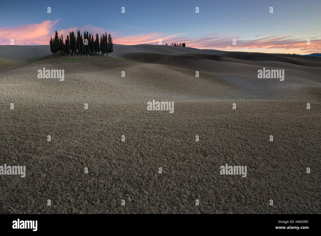 Sunset at the cypresses near San Quirico d'Orcia, Val d'Orcia, Tuscany, Italy. Stock Photo
