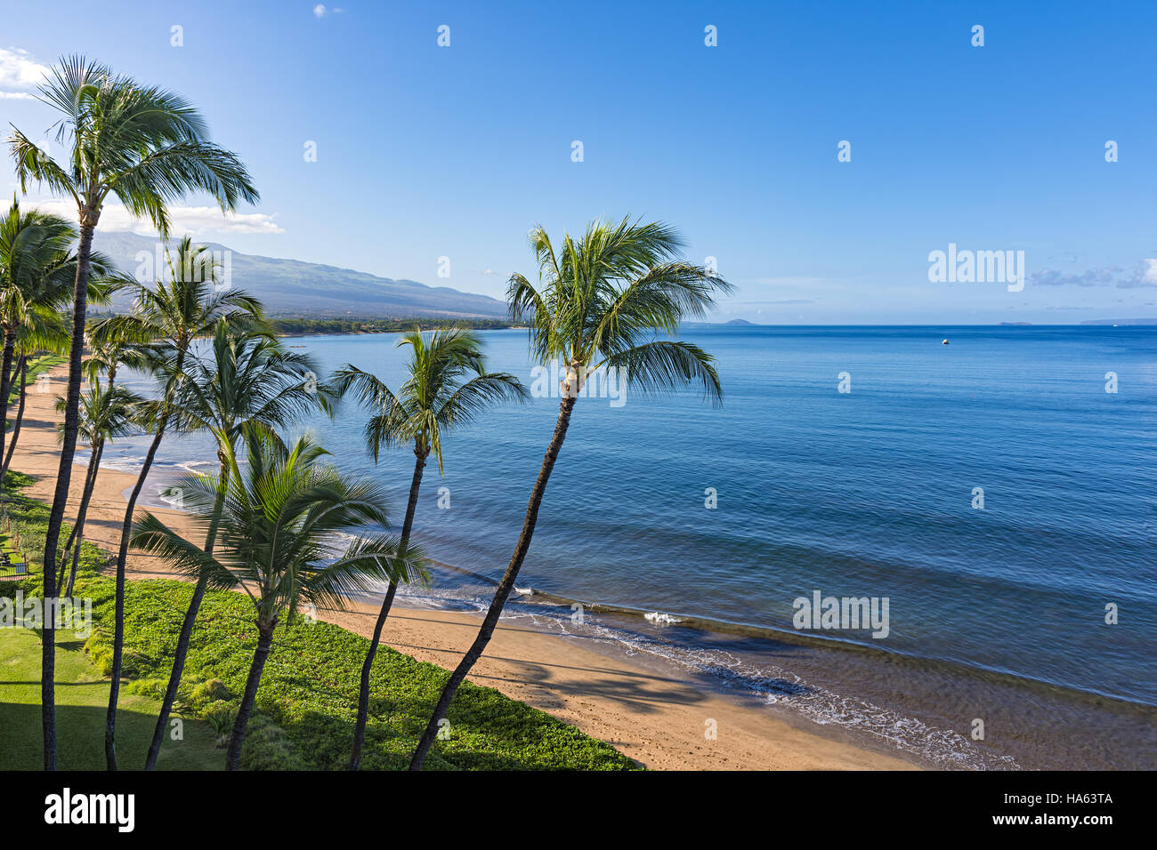 Beach and palms trees in the morning atSugar Beach Kihei Maui Hawaii