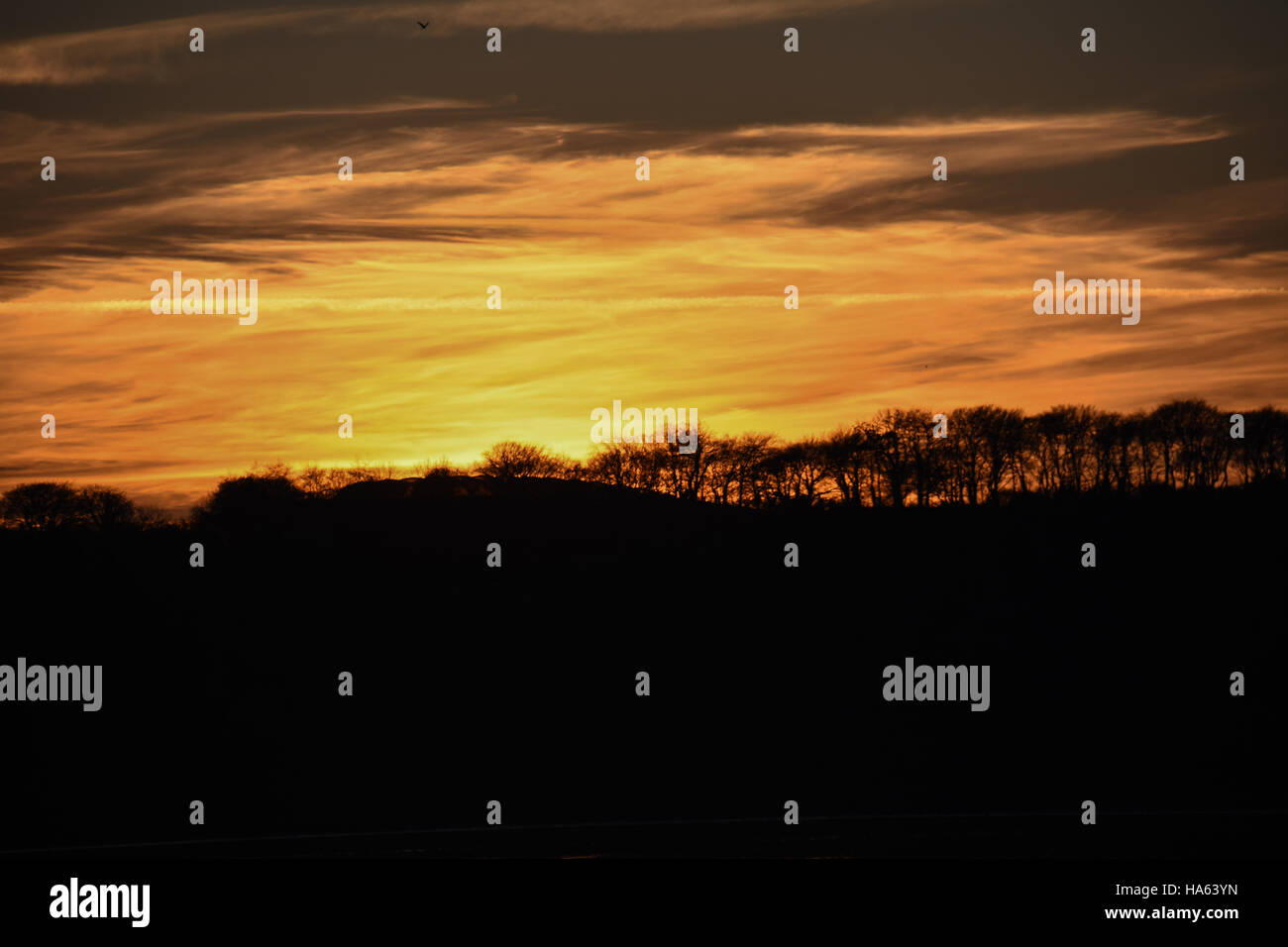 Sunset with dramatic golden clouds above a silhouette of trees Stock ...