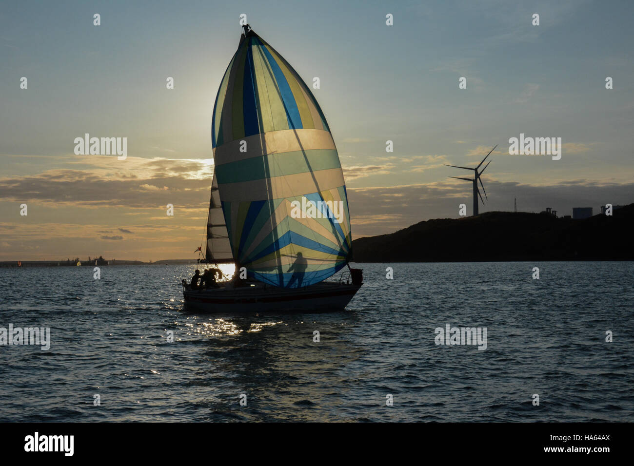 Yacht racing with spinnaker in Milford Haven on a calm summers evening with the trimmer silhouetted against the sail Stock Photo