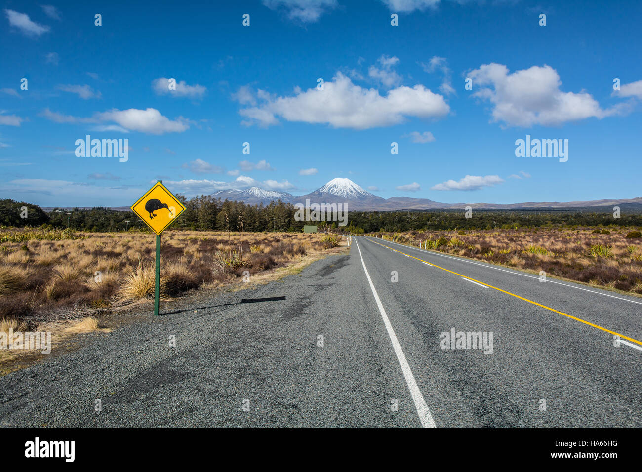 Road to Tongariro National Park, with Kiwi sign, New Zealand Stock Photo
