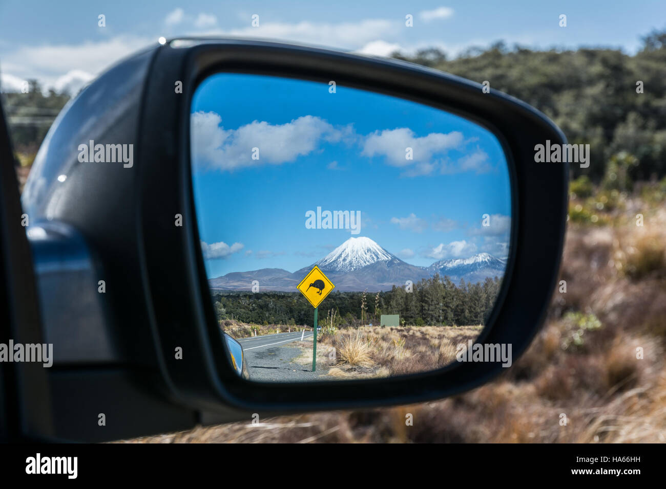 Road to Tongariro National Park with Kiwi sign reflected in the rear mirror, New Zealand Stock Photo