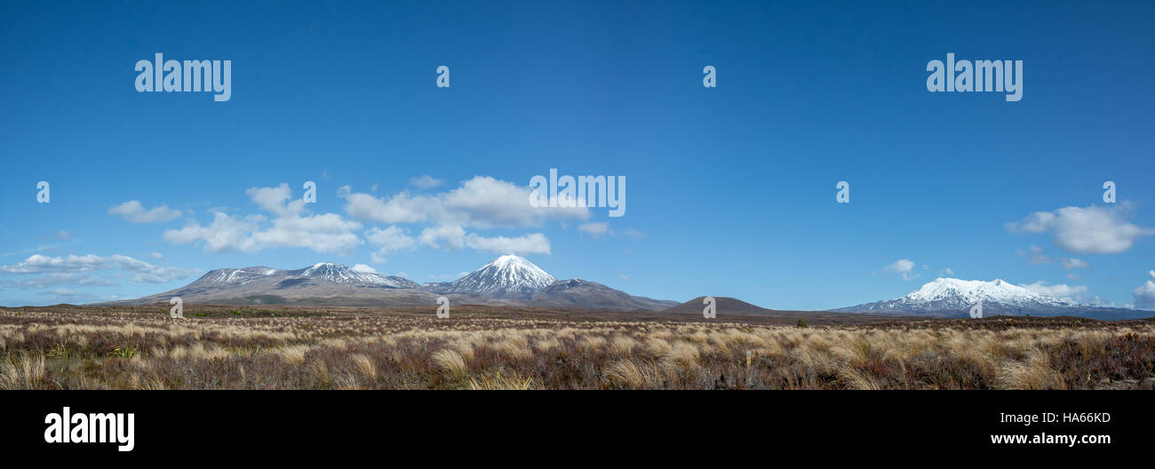 Panorama Landscape Tongariro National Park, New Zealand Stock Photo