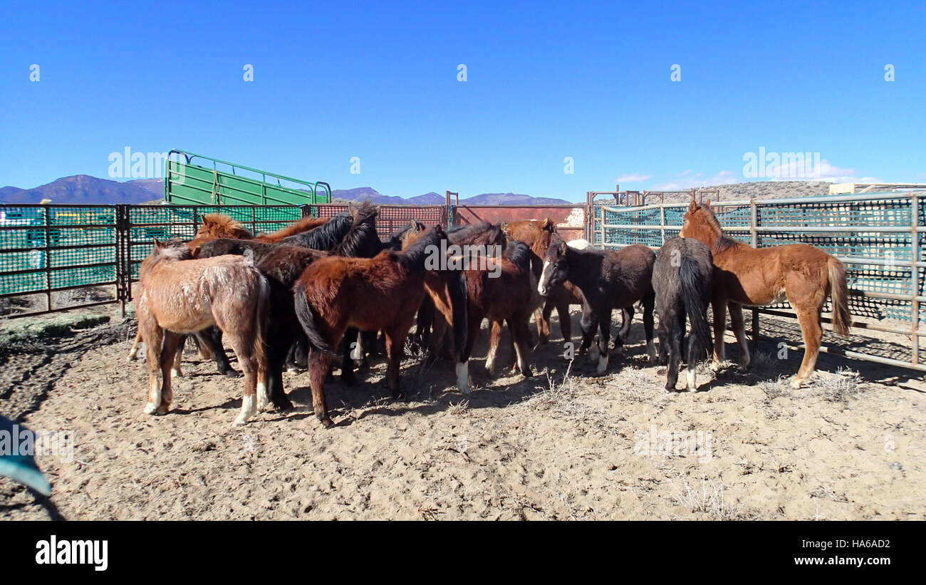 Rangeland restoration hi-res stock photography and images - Alamy