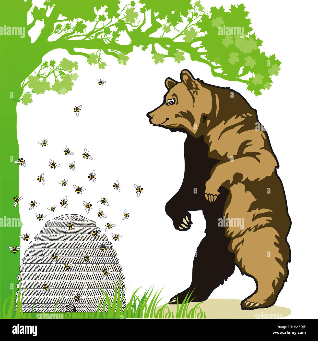 Bear with beehive Stock Photo