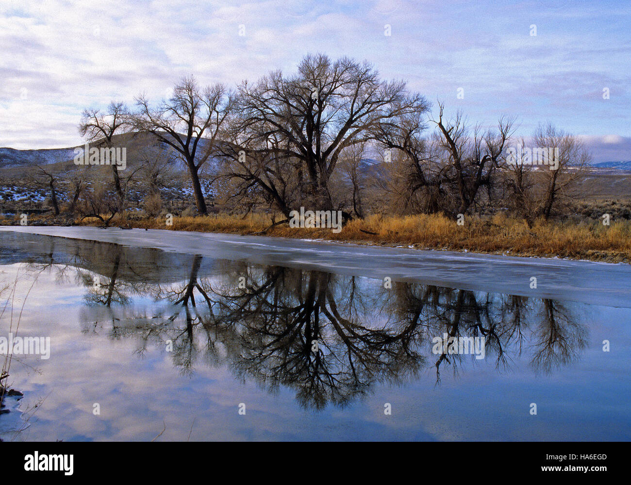 The Carson River in Nevada is an important natural resource, providing ...