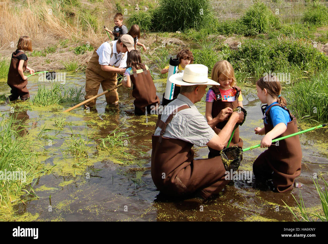 eddiesfisheriesfws 15717738735 At the new Outdoor Skills Day at Entiat NFH (WA), staff helped students explore the pond area and look at macroinvertebrates they found.USFWS pho Stock Photo