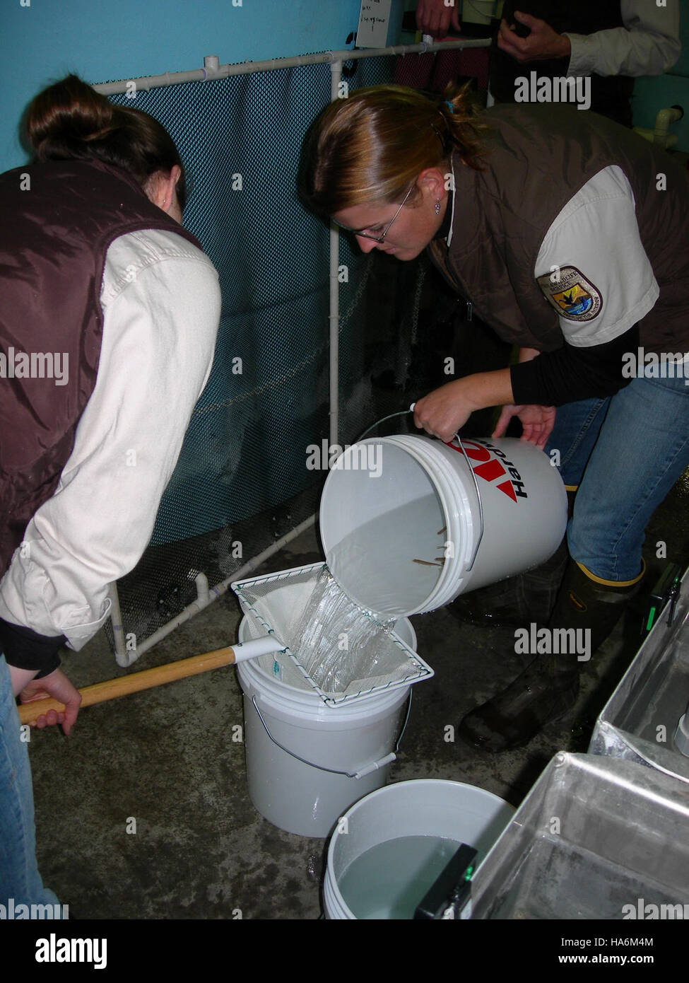 Fish transfer activities conducted by the U.S. Fish and Wildlife ...