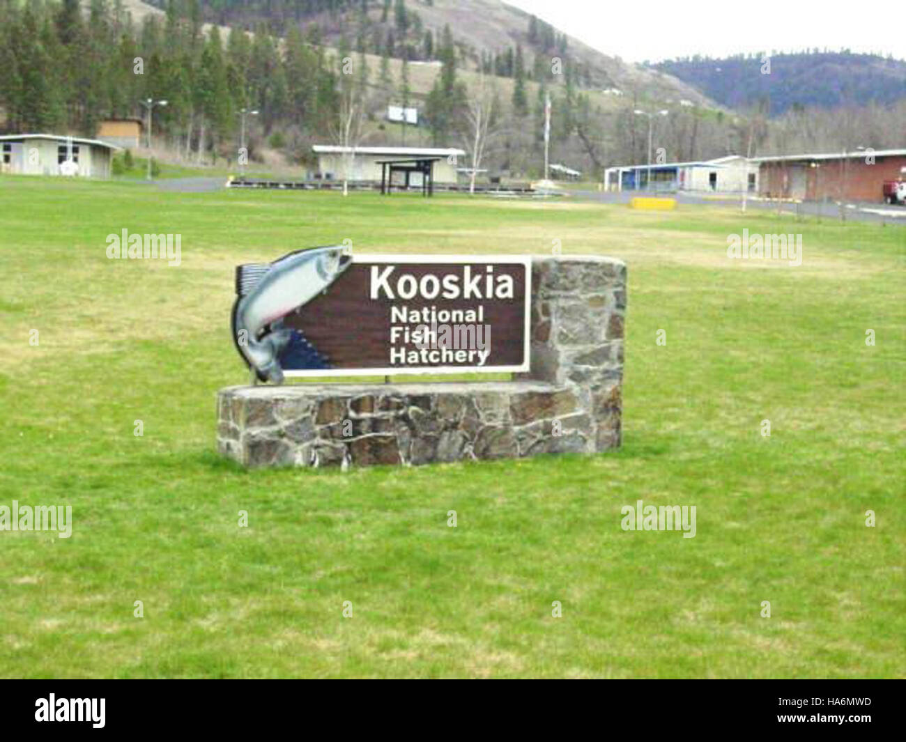 Kooskia hires stock photography and images Alamy