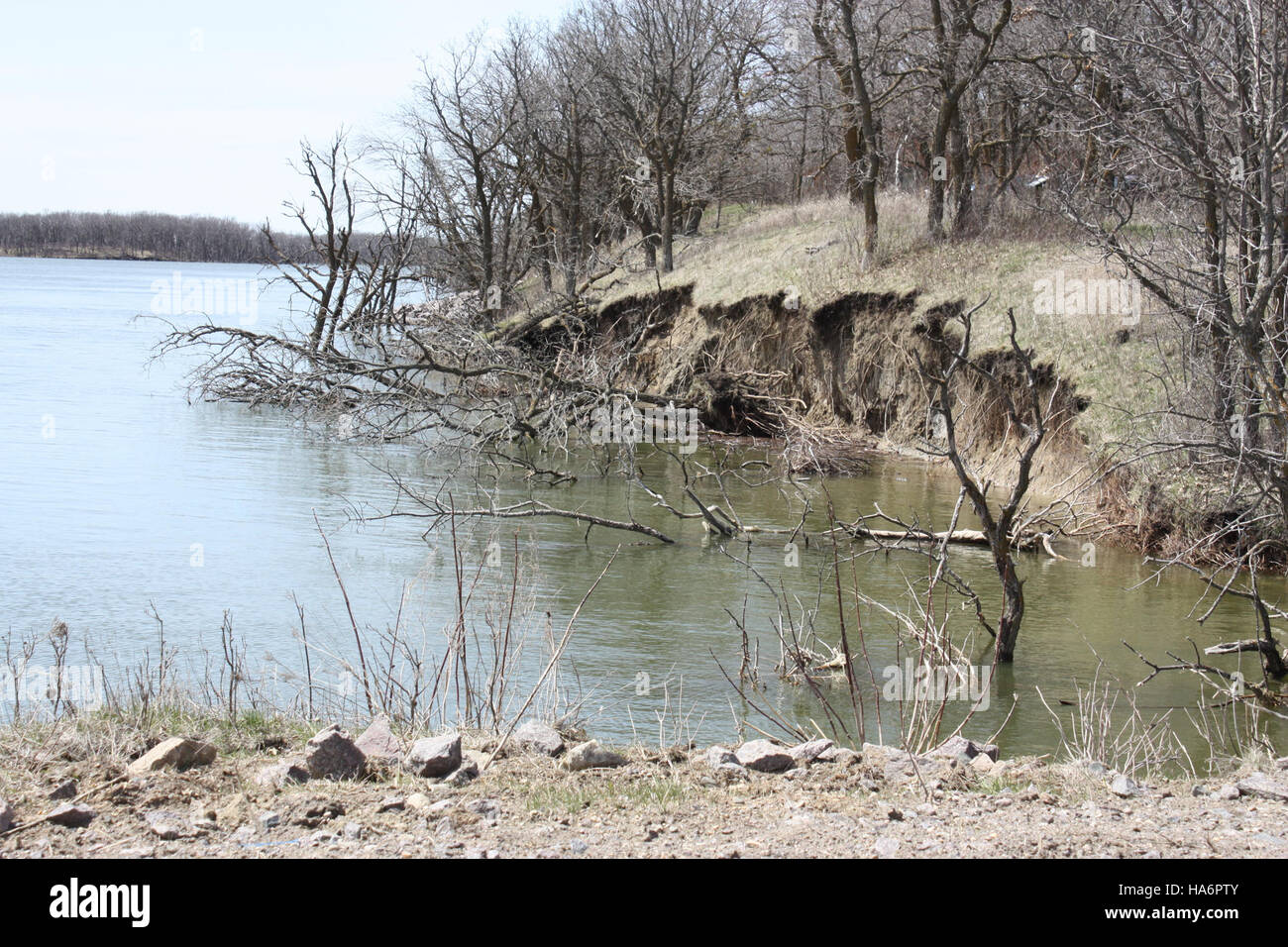 A project aimed at addressing bank erosion at an office bank in a ...