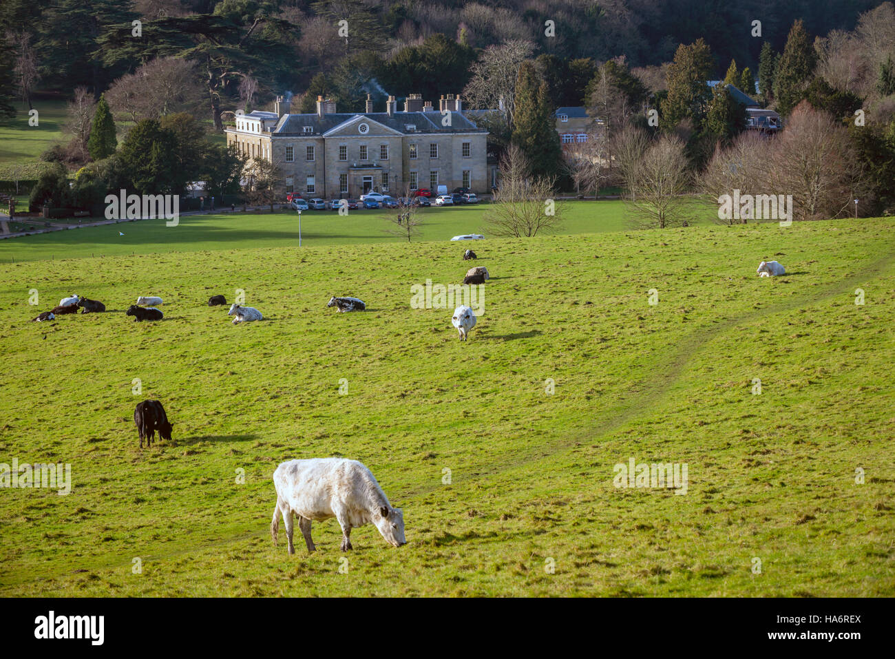 General views of Stanmer Park in Brighton Stock Photo