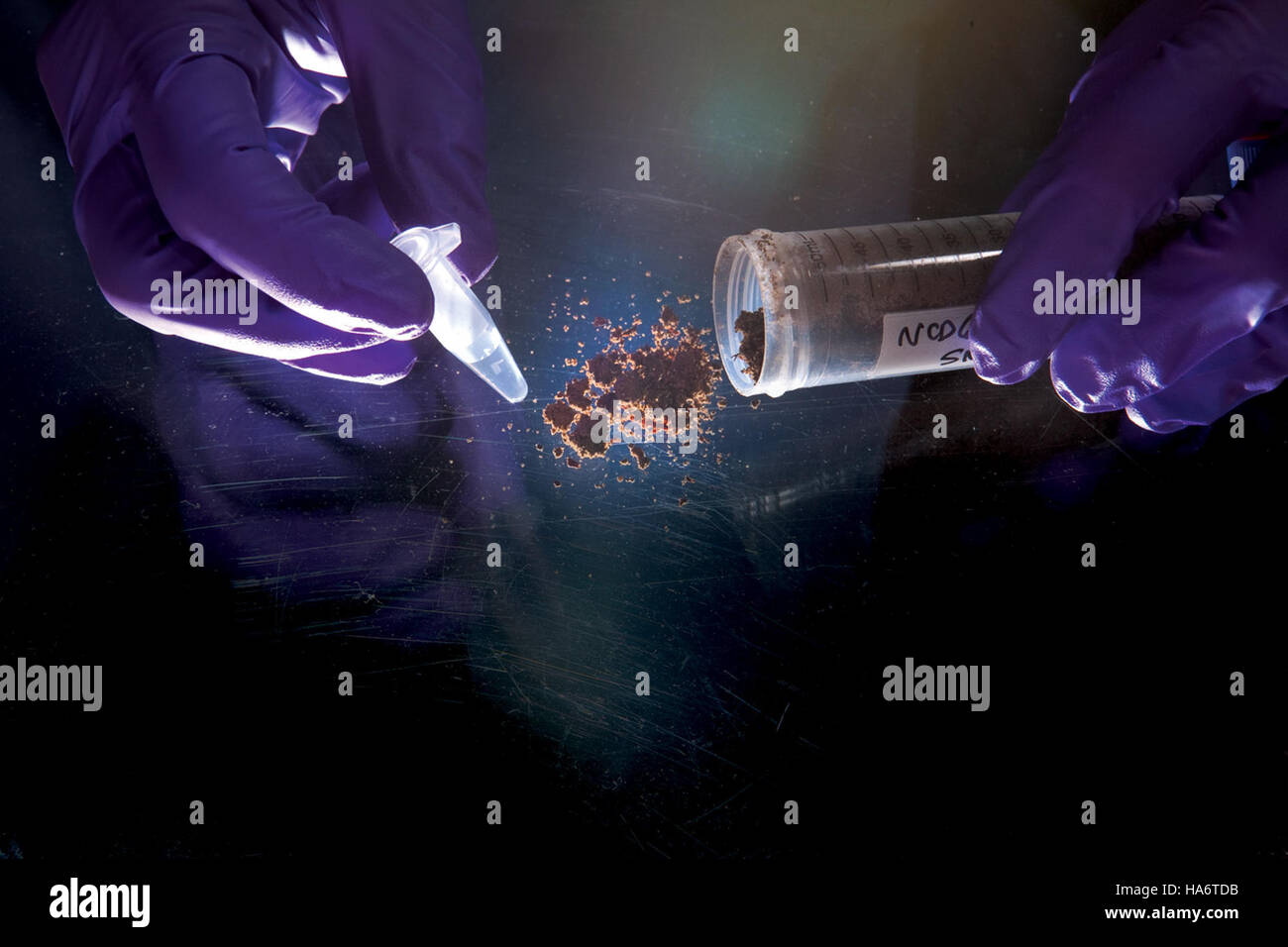 This image represents a DNA sample processed at Los Alamos National Laboratory. The sample is part of ongoing scientific research focused on genetics and molecular biology, contributing to advancements in various fields. Stock Photo