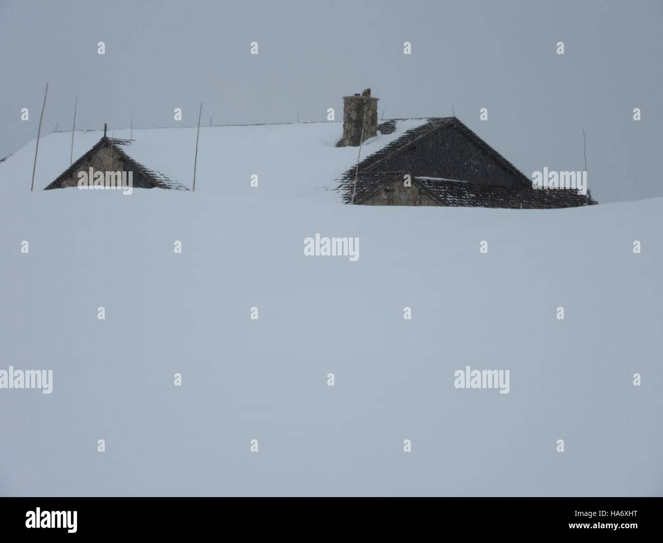 Trail Ridge Store in Rocky Mountain National Park offers visitors a ...