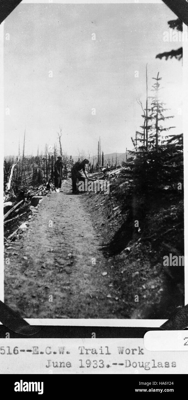 The Civilian Conservation Corps (CCC) played a vital role in developing ...