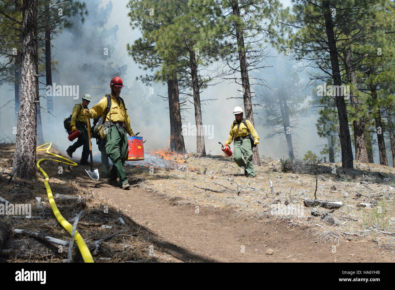 The Bureau of Land Management in Nevada prepares controlled ignitions ...