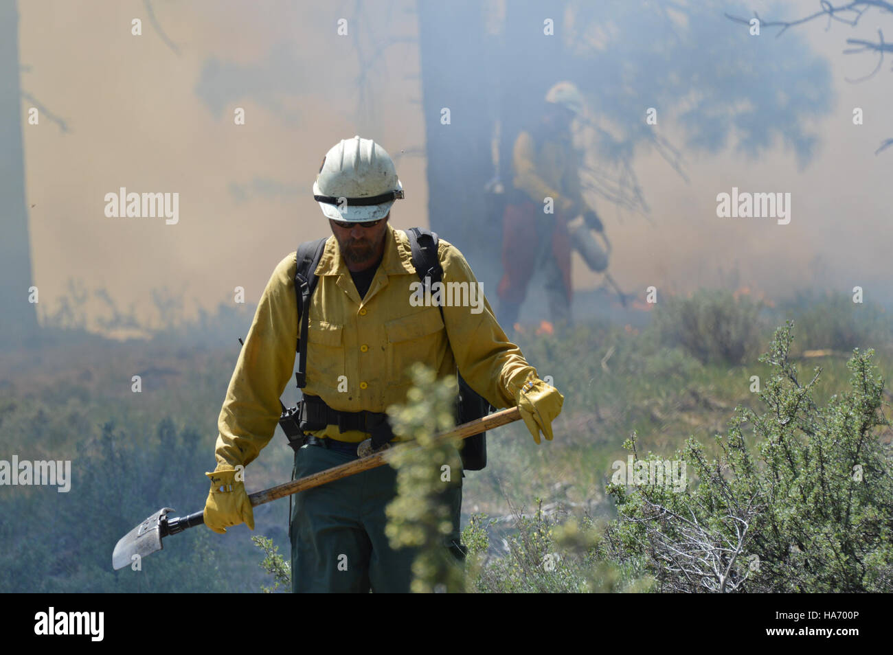 Controlled ignitions conducted by BLM Nevada aim to manage vegetation ...
