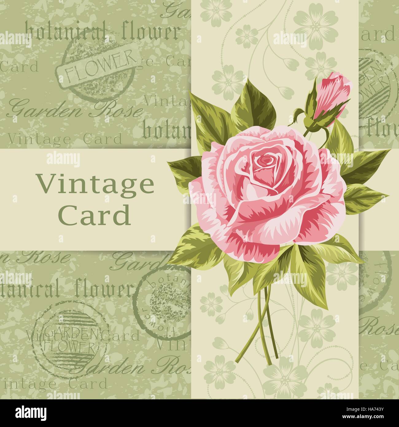 Vintage card with flowers Stock Vector Image & Art - Alamy