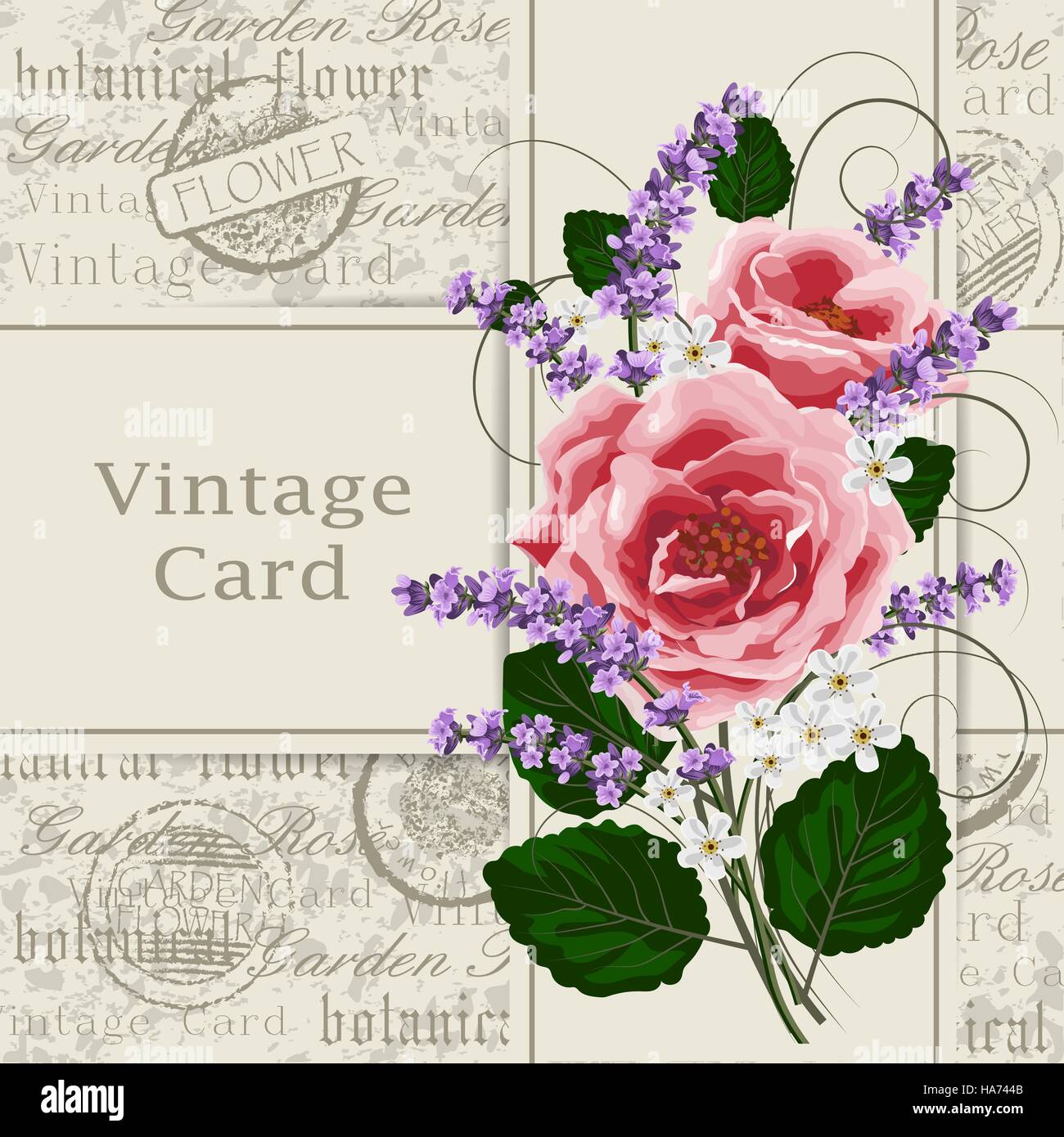 Vintage card with flowers Stock Vector Image & Art - Alamy