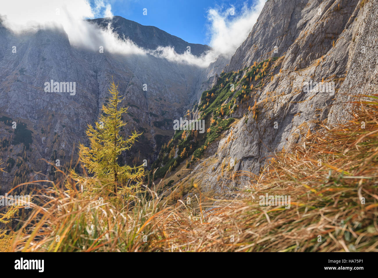Bucegi Mountains, Romania Stock Photo - Alamy