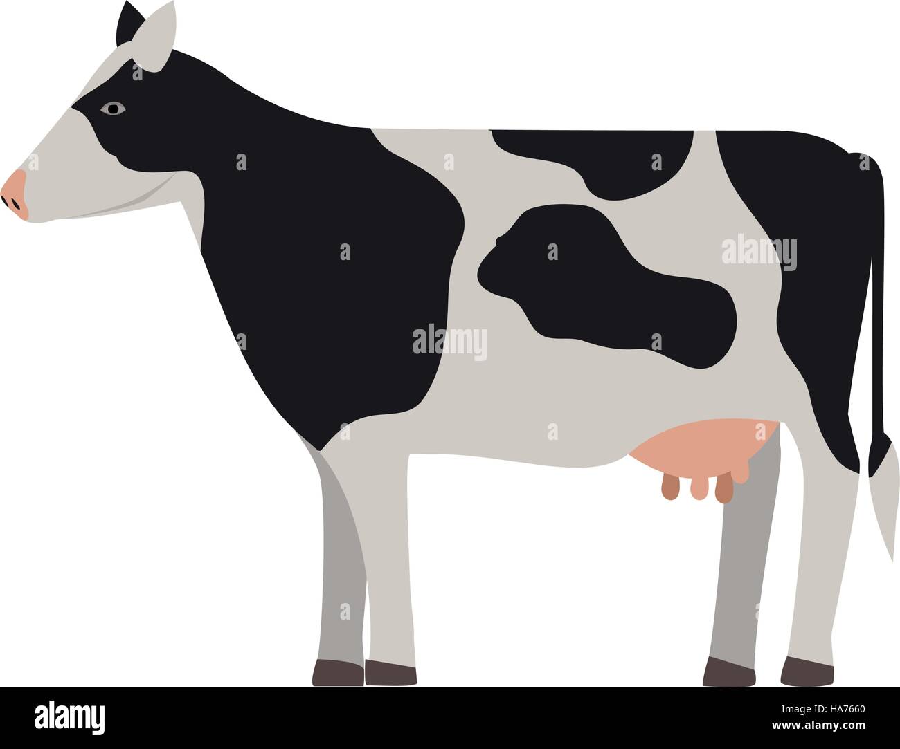 silhouette colorful cow with spots vector illustration Stock Vector ...