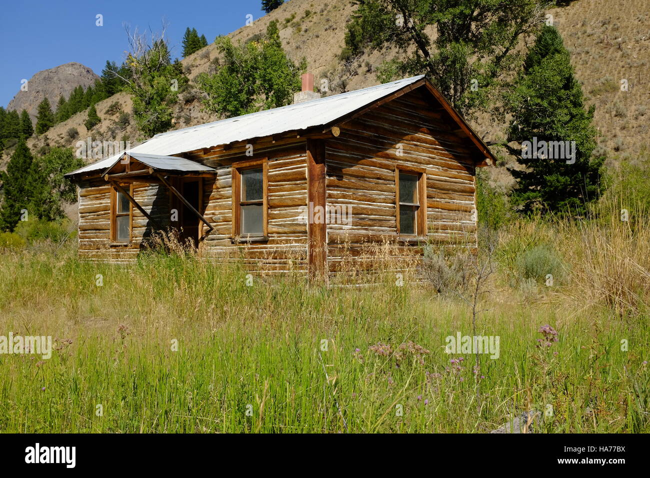 Old cabins in the Idaho mountains Stock Photo Alamy