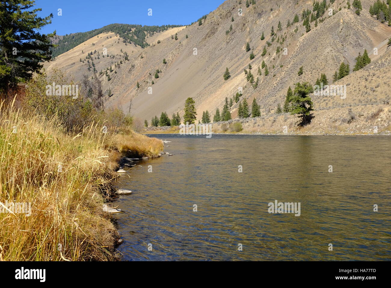 Salmon River in Idaho, near Holman Campground on Idaho Highway 75 Stock