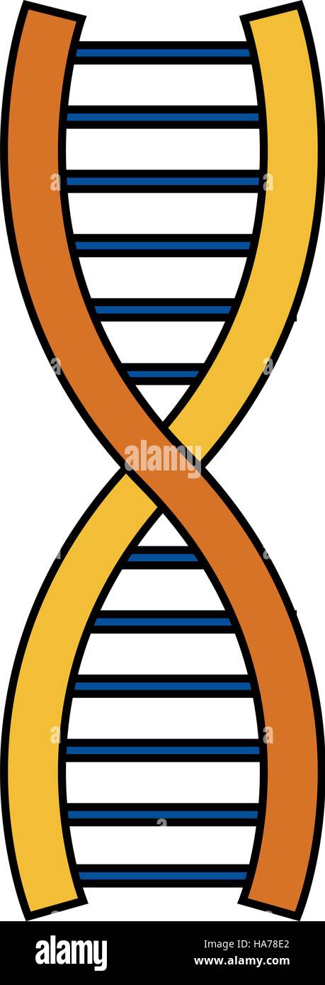 Isolated dna design Stock Vector Image & Art - Alamy