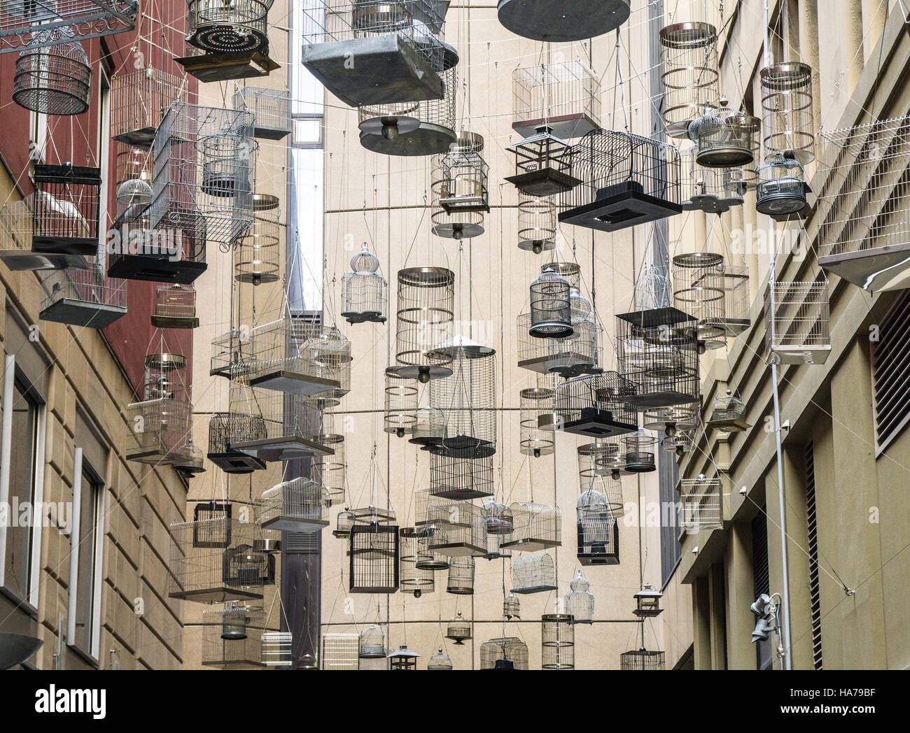 Hanging empty birdcages in Angel Place, Sydney - an art installation called 'Forgotten Songs' Stock Photo