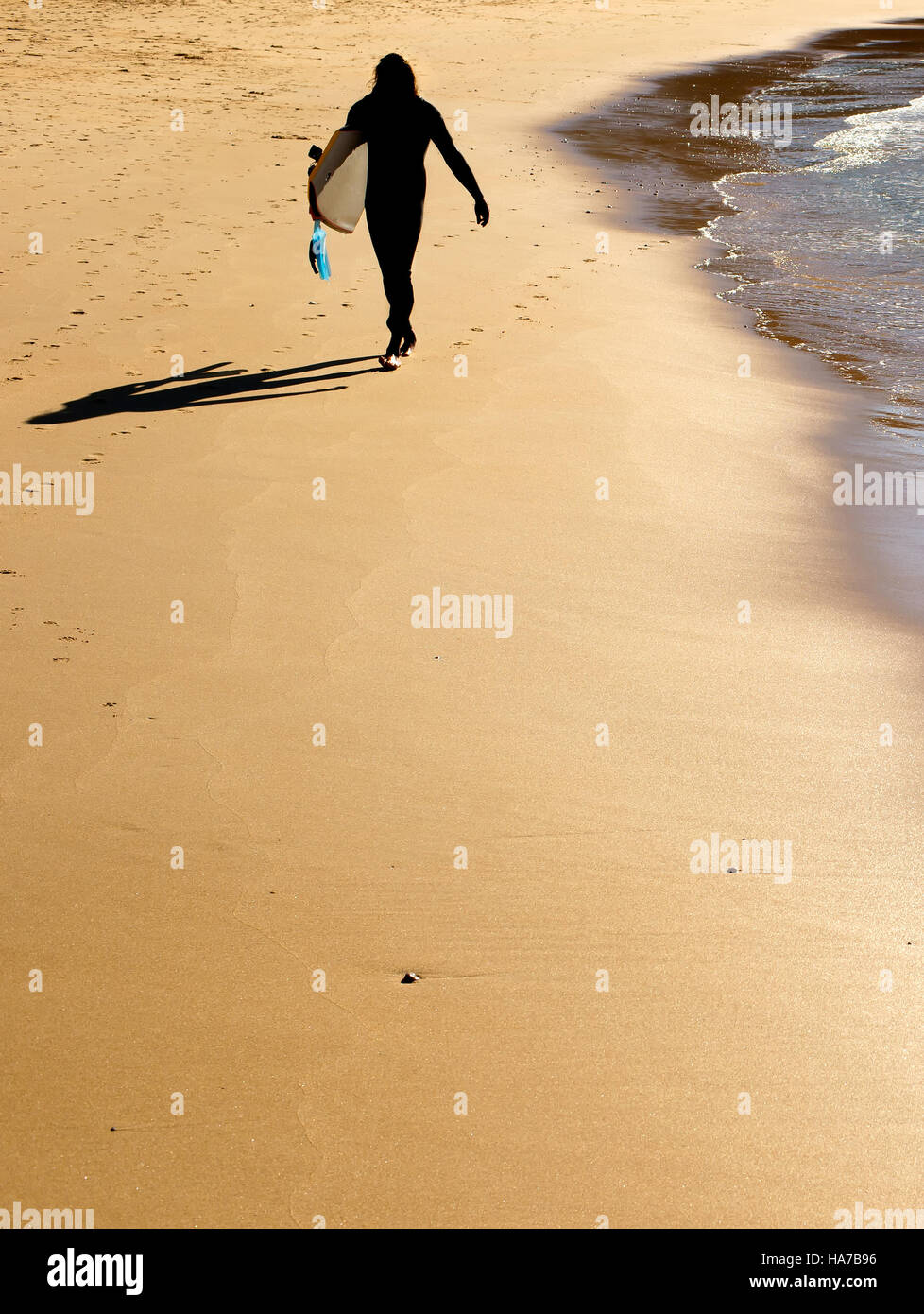 Surfer on the ocean beach walking with surfboard Stock Photo Alamy