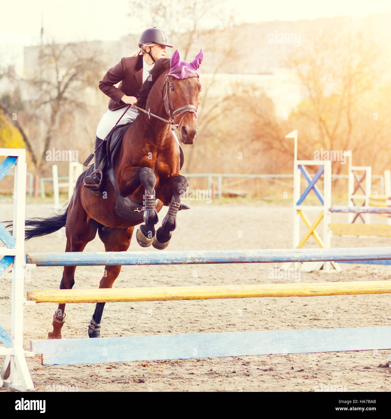 Young female rider on bay horse jumping over hurdle on equestrian sport
