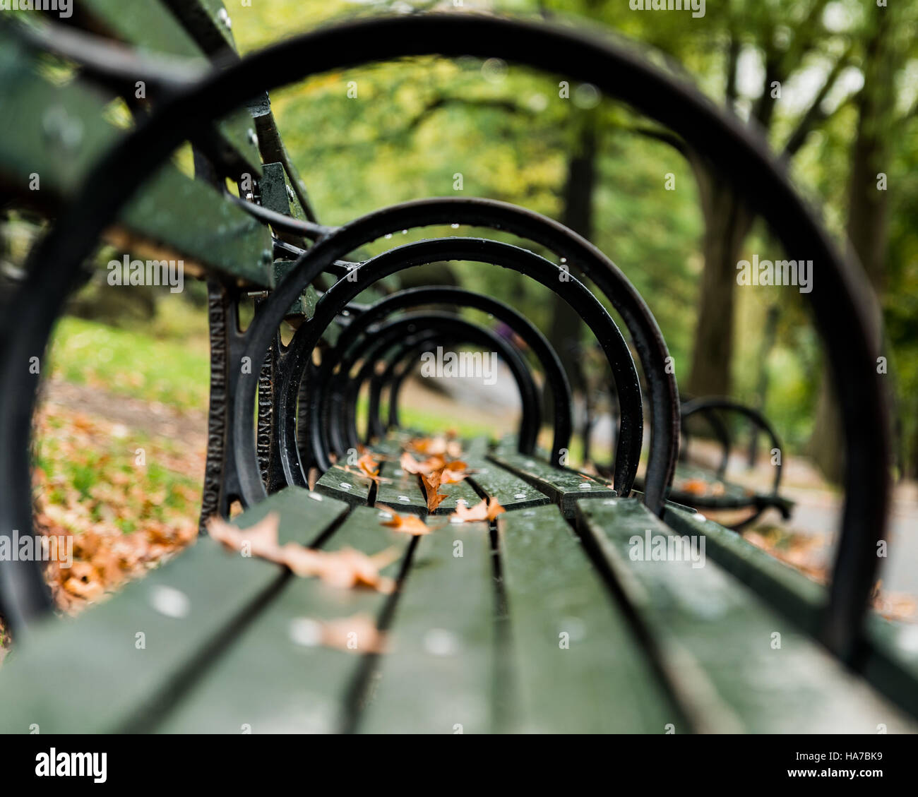Photo taken at a low vantage point of park bench which gives a tunnel effect when looking through the loops. Stock Photo