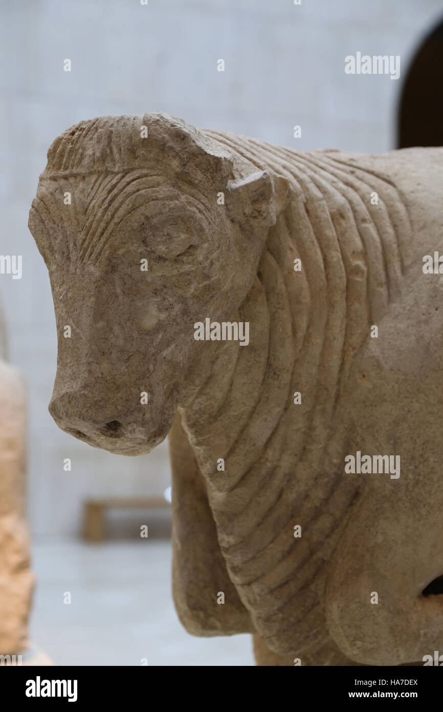 Bull. Limestone. Late Iberian culture. 5th century AD. Osuna, Seville, Spain.National Archaeological Museum, Madrid. Spain. Stock Photo