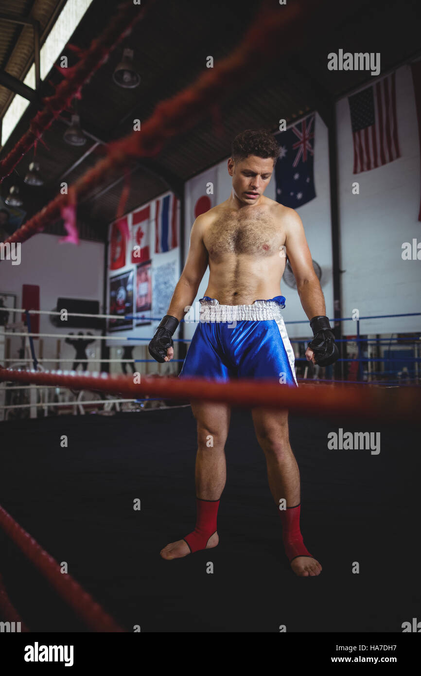 Boxer standing in boxing ring Stock Photo Alamy