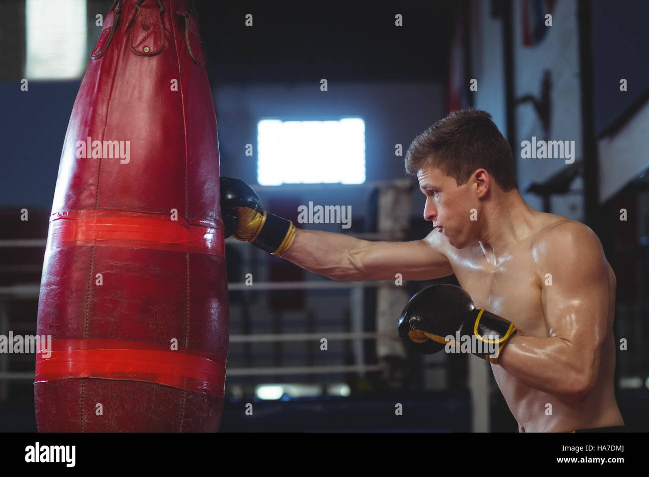 Boxer practicing boxing with punching bag Stock Photo Alamy
