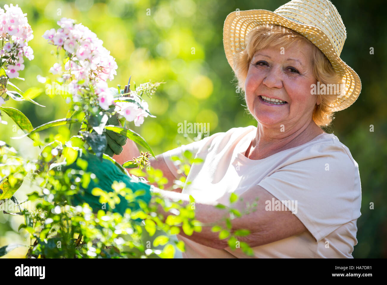 Senior woman examining flowers in garden Stock Photo - Alamy