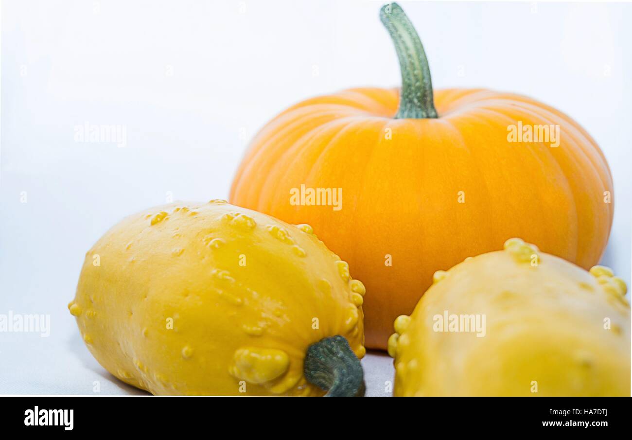 Pumpkins on a white background Stock Photo - Alamy
