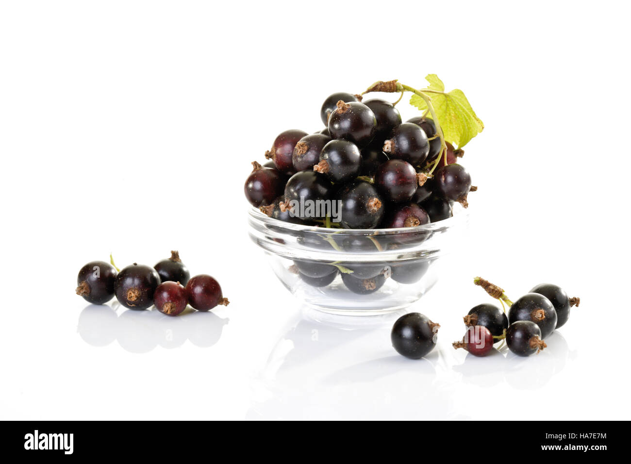 Blackcurrants (Ribes nigrum) Stock Photo