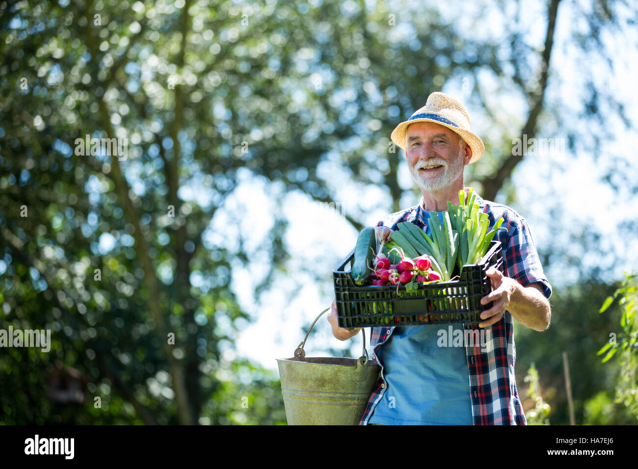 Senior man holding crate of fresh vegetables in garden Stock Photo - Alamy